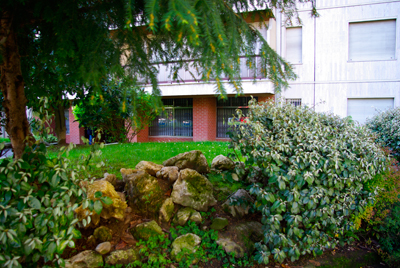 Verde urbano In mezzo al verde