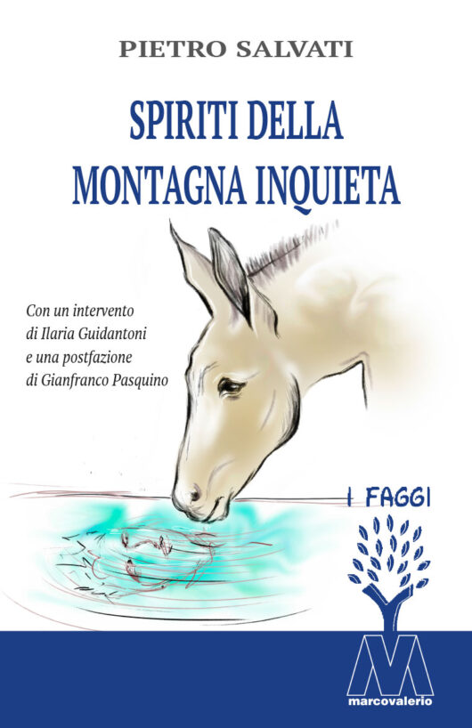 Pietro Salvati <br />Spiriti della montagna inquieta